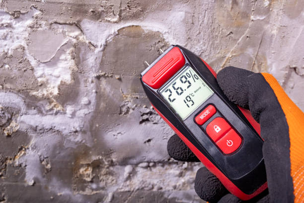 Best Post-Remediation Services in Rose Hill, VA