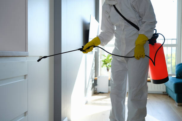 Professional Mold Remediation in Rose Hill, VA
