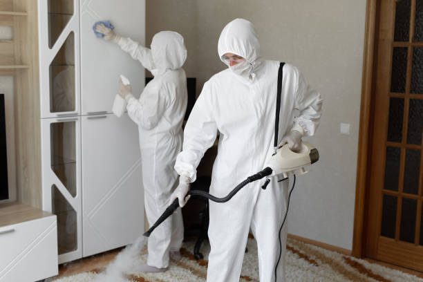 Professional Mold Remediation in Rose Hill, VA